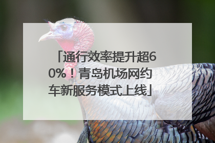 通行效率提升超60%！青岛机场网约车新服务模式上线