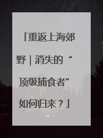重返上海郊野｜消失的“顶级捕食者”如何归来？