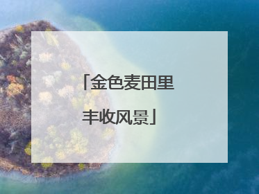 金色麦田里丰收风景