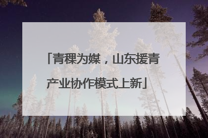 青稞为媒，山东援青产业协作模式上新
