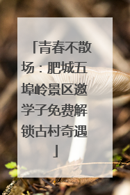 青春不散场：肥城五埠岭景区邀学子免费解锁古村奇遇