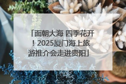 面朝大海 四季花开！2025厦门海上旅游推介会走进贵阳
