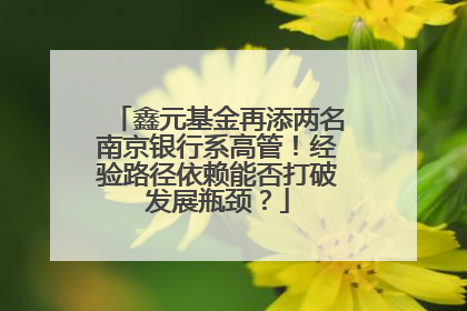 鑫元基金再添两名南京银行系高管！经验路径依赖能否打破发展瓶颈？