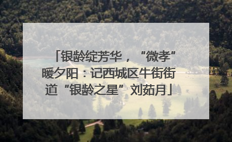 银龄绽芳华，“微孝”暖夕阳：记西城区牛街街道“银龄之星”刘茹月