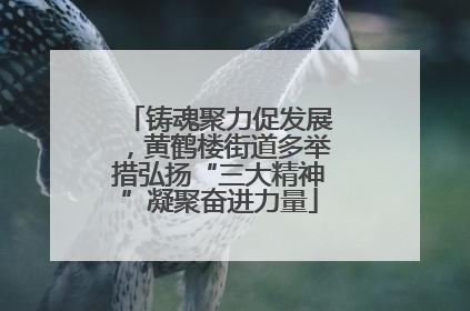 铸魂聚力促发展，黄鹤楼街道多举措弘扬“三大精神”凝聚奋进力量