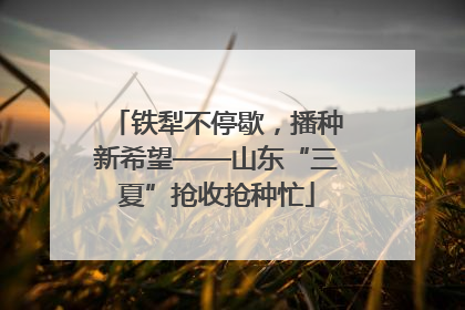 铁犁不停歇，播种新希望——山东“三夏”抢收抢种忙