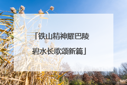 铁山精神耀巴陵 碧水长歌颂新篇