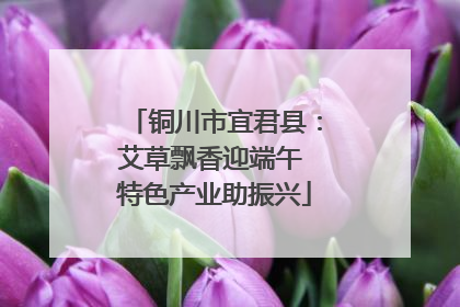 铜川市宜君县：艾草飘香迎端午 特色产业助振兴