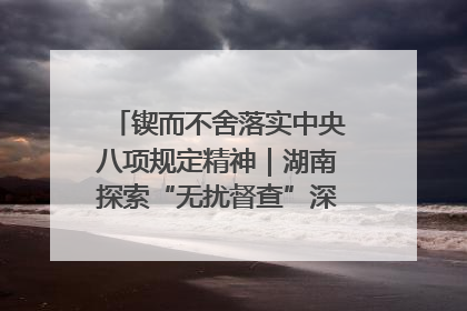 锲而不舍落实中央八项规定精神｜湖南探索“无扰督查”深化基层减负