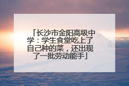 长沙市金阳高级中学：学生食堂吃上了自己种的菜，还出现了一批劳动能手
