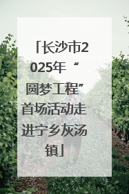 长沙市2025年“圆梦工程”首场活动走进宁乡灰汤镇