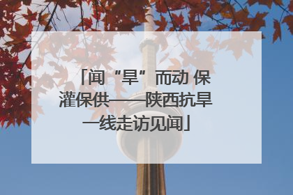 闻“旱”而动 保灌保供——陕西抗旱一线走访见闻