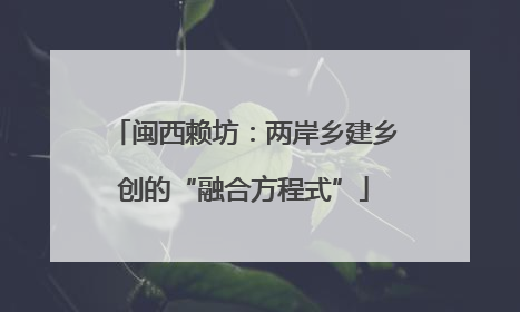 闽西赖坊：两岸乡建乡创的“融合方程式”