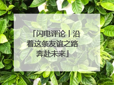 闪电评论丨沿着这条友谊之路奔赴未来