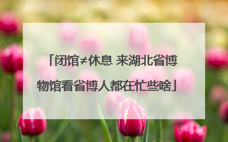 闭馆≠休息 来湖北省博物馆看省博人都在忙些啥