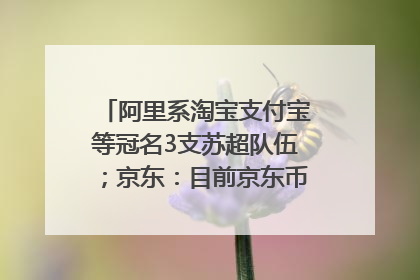 阿里系淘宝支付宝等冠名3支苏超队伍；京东：目前京东币链科技并没有开始发行稳定币｜早资道