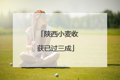 陕西小麦收获已过三成