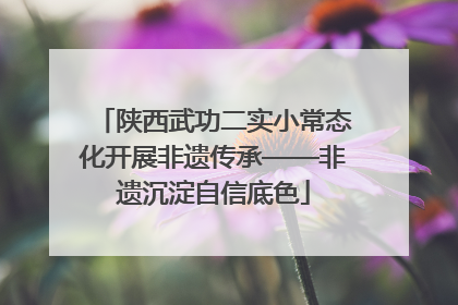 陕西武功二实小常态化开展非遗传承——非遗沉淀自信底色