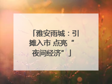雅安雨城：引摊入市 点亮“夜间经济”