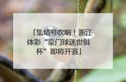 集结号吹响！浙江体彩“豪门球迷世俱杯”即将开赛