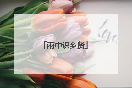 雨中识乡贤