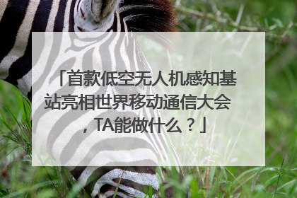 首款低空无人机感知基站亮相世界移动通信大会，TA能做什么？
