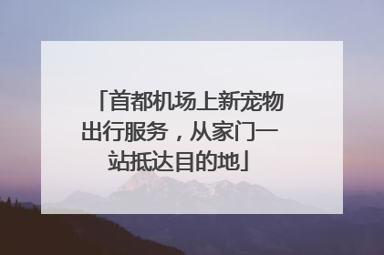 首都机场上新宠物出行服务，从家门一站抵达目的地