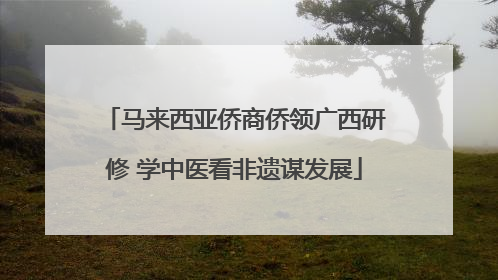 马来西亚侨商侨领广西研修 学中医看非遗谋发展