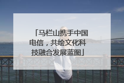 马栏山携手中国电信，共绘文化科技融合发展蓝图