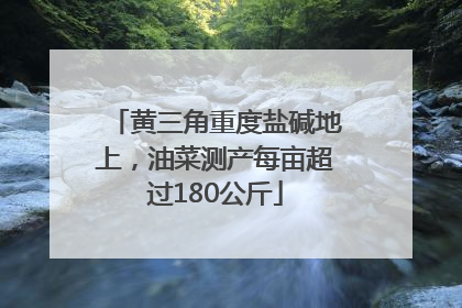 黄三角重度盐碱地上，油菜测产每亩超过180公斤