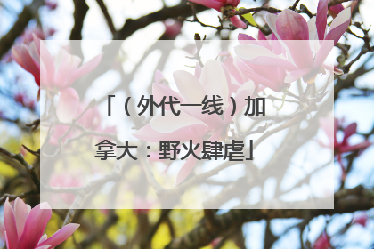 （外代一线）加拿大：野火肆虐