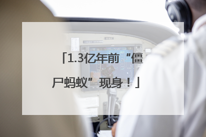1.3亿年前“僵尸蚂蚁”现身！