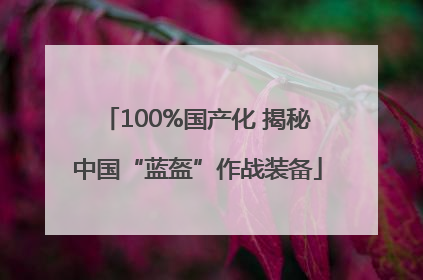 100%国产化 揭秘中国“蓝盔”作战装备