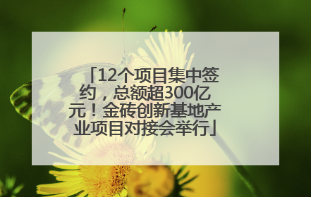 12个项目集中签约，总额超300亿元！金砖创新基地产业项目对接会举行