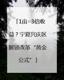1亩=3倍收益？宁夏兴庆区解锁改革“黄金公式”