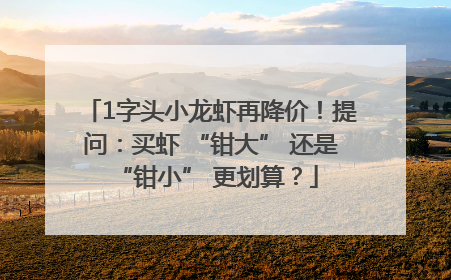 1字头小龙虾再降价！提问：买虾 “钳大” 还是 “钳小” 更划算？