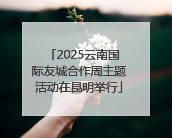 2025云南国际友城合作周主题活动在昆明举行