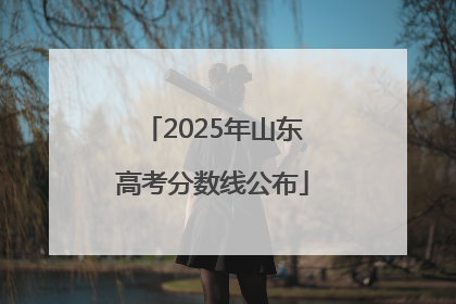 2025年山东高考分数线公布
