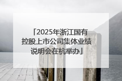2025年浙江国有控股上市公司集体业绩说明会在杭举办