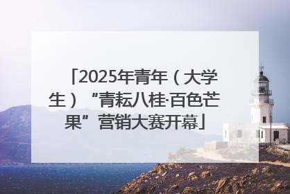 2025年青年（大学生）“青耘八桂·百色芒果”营销大赛开幕
