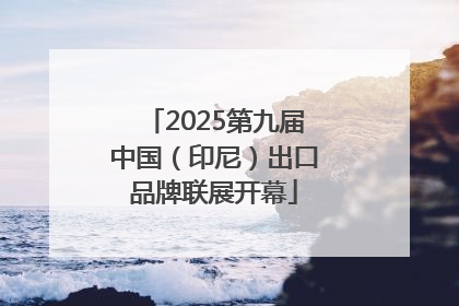 2025第九届中国（印尼）出口品牌联展开幕