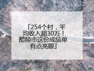 254个村，平均收入超30万！醴陵市这份成绩单有点亮眼