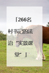 266名村书记的法治“实景课堂”