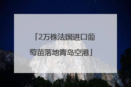 2万株法国进口葡萄苗落地青岛空港
