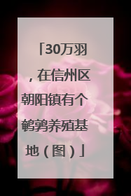 30万羽，在信州区朝阳镇有个鹌鹑养殖基地（图）