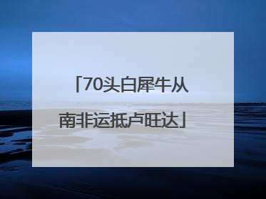 70头白犀牛从南非运抵卢旺达