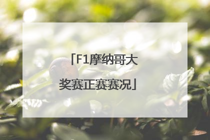 F1摩纳哥大奖赛正赛赛况